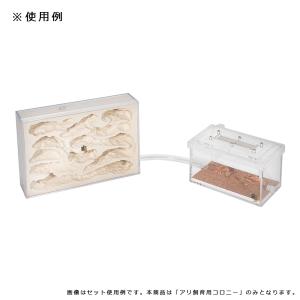 リトルカーペンターズ アリ飼育用 コロニー 蟻...の詳細画像3