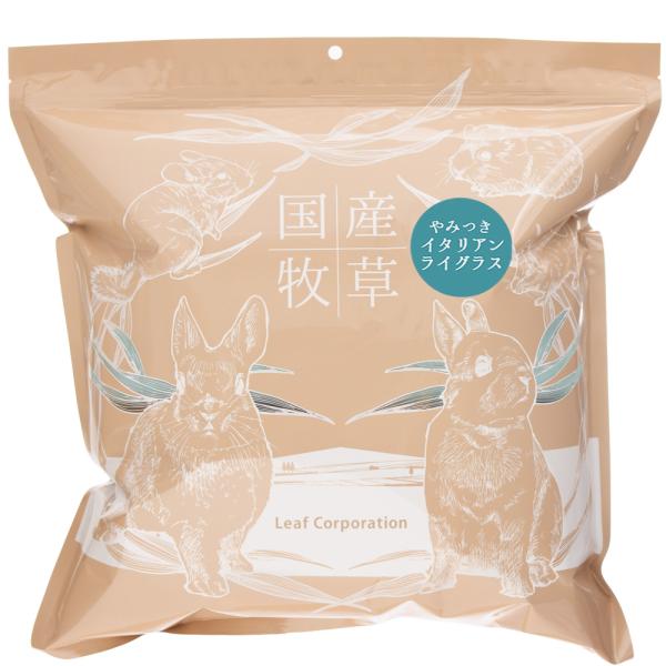 令和７年産　国産牧草　やみつきイタリアンライグラス　１００ｇ　牧草　うさぎ　モルモット　小動物　おや...