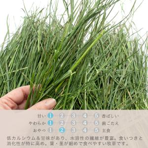 令和7年産 国産牧草 やみつきイタリアンライグ...の詳細画像2