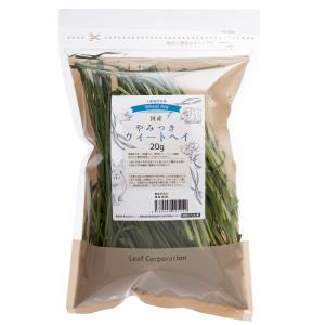 Leaf Corp 6種類の牧草お試しセットB（100g×6種類） チモシー4