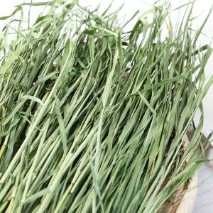 令和7年産 国産牧草 やみつきウィートヘイ(小...の詳細画像1