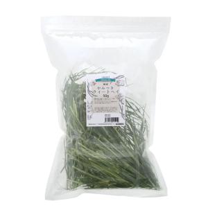 令和７年産　国産牧草　やみつきウィートヘイ（小麦若葉）　５０ｇ　牧草　うさぎ　モルモット　小動物　おやつ　ＵＳＡＹＡＭＡ