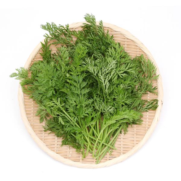 （観葉植物）国産　とれたて生葉っぱ　にんじんの葉　１００ｇ　うさぎ　陸ガメ　ＵＳＡＹＡＭＡ