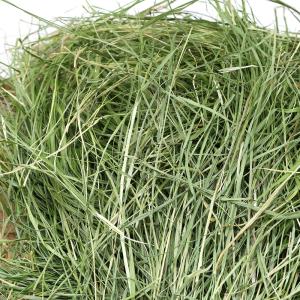 令和8年産 国産牧草 やみつきチモシー 100...の詳細画像1