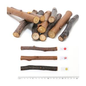 かじり木 国産 天然木のかじり木 中枝 お試し...の詳細画像2