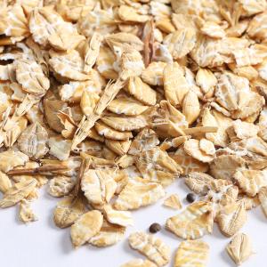 ムギフレーク 圧ペン麦 100g 小動物 イン...の詳細画像2