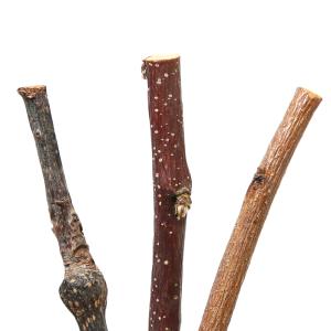 かじり木 国産 天然木のかじり木 細枝 お試し...の詳細画像3