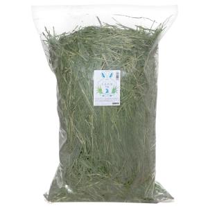 国産　やみつき大麦若葉　１ｋｇ　業務用サイズ　牧草　うさぎ　モルモット　小動物　おやつ　ＵＳＡＹＡＭＡ　｜chanet