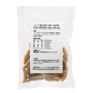 フリーズドライ ハニーワーム 10g タンパク...の詳細画像1