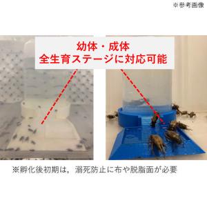昆虫用自動給水器 給水器 コオロギ 鈴虫の詳細画像5