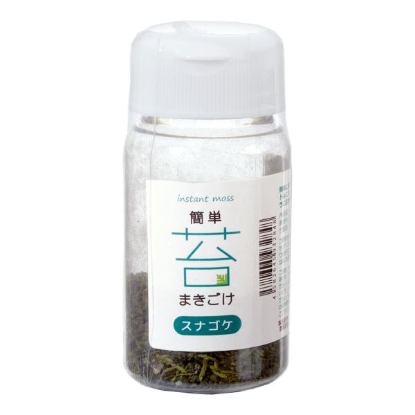 簡単まきごけ　スナゴケ