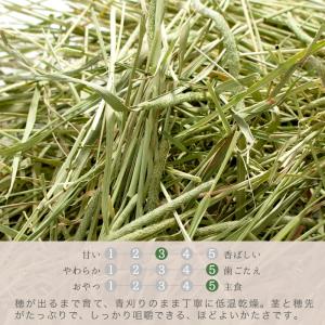 令和8年産 国産牧草 青刈りチモシー 300g...の詳細画像1