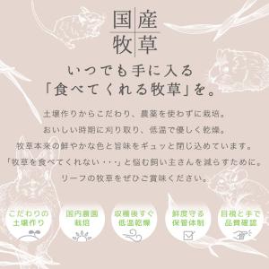 令和8年産 国産牧草 青刈りチモシー 300g...の詳細画像3