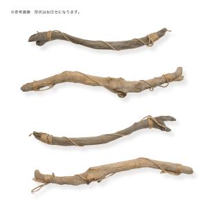 形状お任せ ハンギング流木 棒状タイプ Sサイ...の詳細画像1