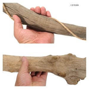 形状お任せ ハンギング流木 棒状タイプ Sサイ...の詳細画像2