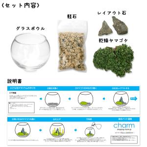 種類おまかせ 本物で作る 小さな苔テラリウム ...の詳細画像1