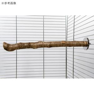 鳥 とまり木 国産ヤマザクラ パーチ S 天然...の詳細画像2