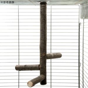 鳥 とまり木 くりの木の吊り下げパーチ 国産 ...の詳細画像2