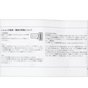 トビムシ繁殖キット 飼育容器付き 活餌の詳細画像3