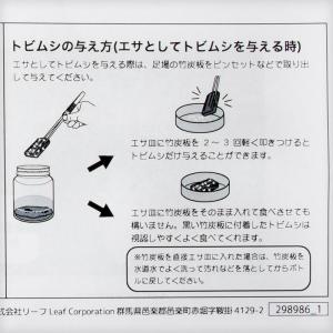 トビムシ繁殖キット 飼育容器付き 活餌の詳細画像4
