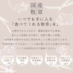 うさぎ 牧草 国産 旬のやわらか 茎なしオーツ...の詳細画像3