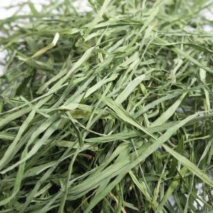 うさぎ 牧草 国産 旬のやわらか 茎なしオーツ...の詳細画像1