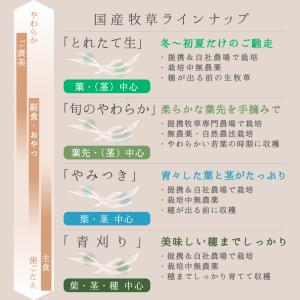 うさぎ 牧草 国産 旬のやわらか 茎なしオーツ...の詳細画像4