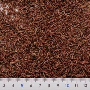 フリーズドライ 赤虫 10gの詳細画像2
