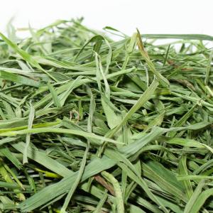 国産 もったいない牧草ミックス 300g チャ...の詳細画像2