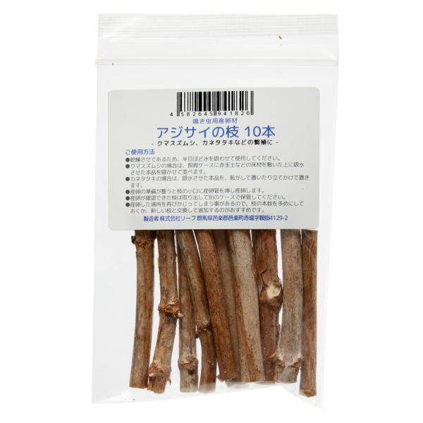 鳴き虫用産卵材　アジサイの枝　１０本　クマスズムシ　カネタタキ