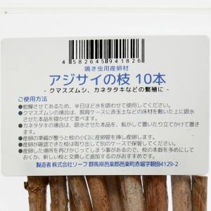 鳴き虫用産卵材 アジサイの枝 10本 クマスズ...の詳細画像1