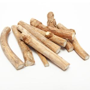 鳴き虫用産卵材 アジサイの枝 10本 クマスズ...の詳細画像2