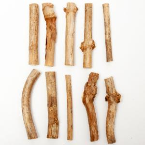 鳴き虫用産卵材 アジサイの枝 10本 クマスズ...の詳細画像3