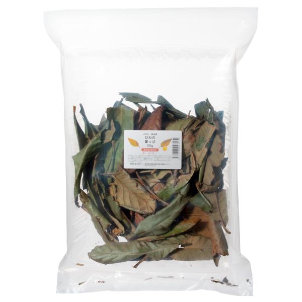 びわの葉っぱ　約５０ｇ　メダカ　越冬　昆虫　レイアウト用品