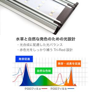 水草が育つ 6mm薄型LED 60cm水槽用の詳細画像3