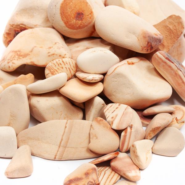 形状お任せ　水槽の宝石　１ｋｇ　バクテリア　ベタ　メダカ　金魚