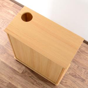 (組立済み)アクロ 水槽台 60×30×70 ...の詳細画像4