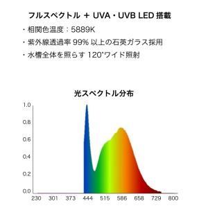 アクロ 爬虫類用 RECTANGLE UV L...の詳細画像3