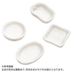 アントピア セラミック製 エサ皿 1個 形状お任せの詳細画像1