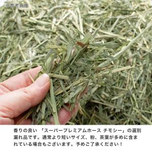 令和7年産 選別漏れスーパープレミアムホースチ...の詳細画像1