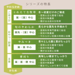 国産牧草 やみつきオーチャードグラス 20g ...の詳細画像4