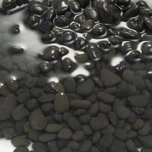 黒砂利 1Lの詳細画像2