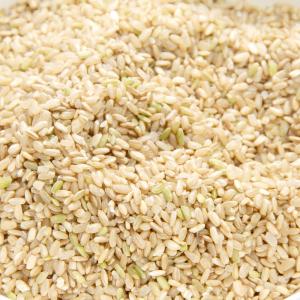 【送料無料】令和7年産 新米 青米 7.5kg...の詳細画像2