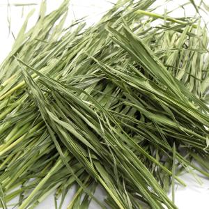 令和8年産 国産牧草 茎なしオーツヘイ 15g...の詳細画像1