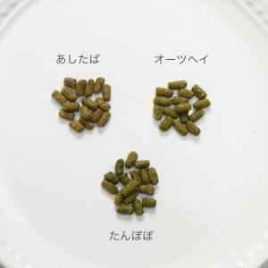 国産 うさぎの食事プレミアム たんぽぽテイスト...の詳細画像5
