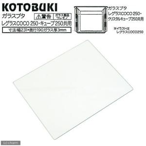 コトブキ工芸　ガラスフタ　ＣＯＣＯ２５０・キューブ２５０共用（幅２３１×奥行１９０×厚さ３ｍｍ）
