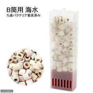 トット パーフェクトフィルター ミニ/ミニミニ専用ろ材 B筒用 海水