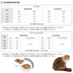 ロイヤルカナン 猫 エイジング 12+ 400...の詳細画像3