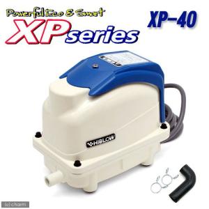 「新品」浄化槽ブロワＸＰ30エアーポンプ テクノ高槻 XP-30 エアーポンプ 省エネ 浄化槽ブロワー 浄化槽エアー