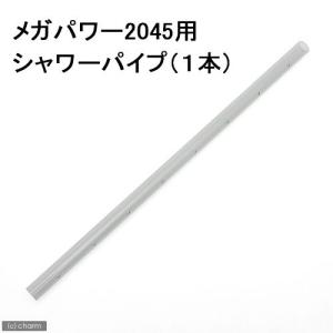 ＧＥＸ　シャワーパイプ　メガパワー２０４５用　１本　ジェックス